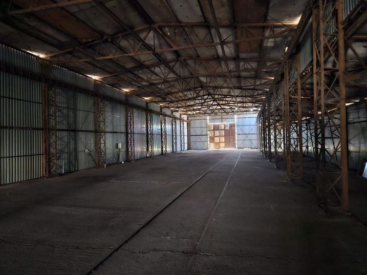 Vanzare amplasament industrial-servicii Tatarasti, Teleorman - 4