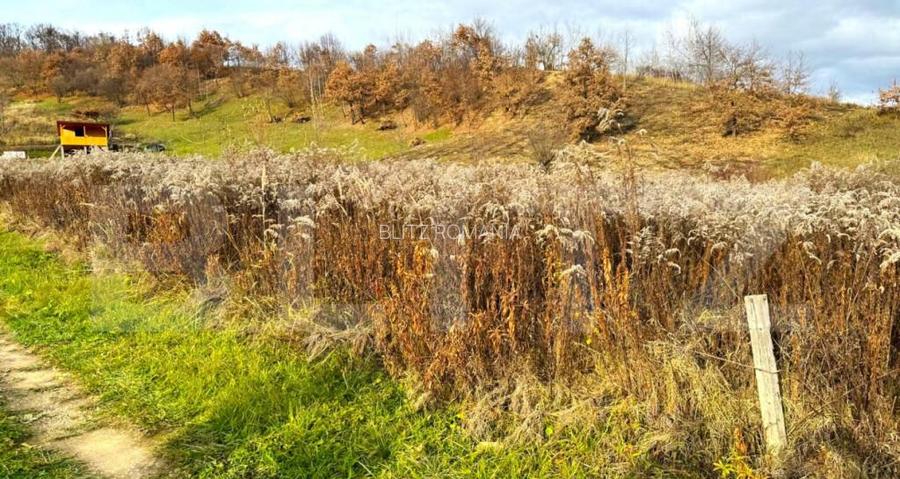 Teren extravilan de vanzare, 2400 mp, zona Valea Ghinzii