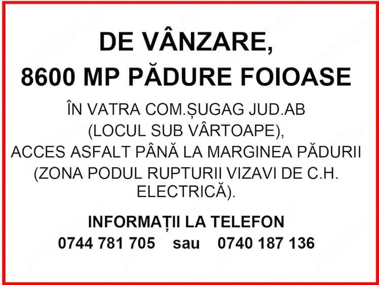 Teren de 8600 mp, în Șugag