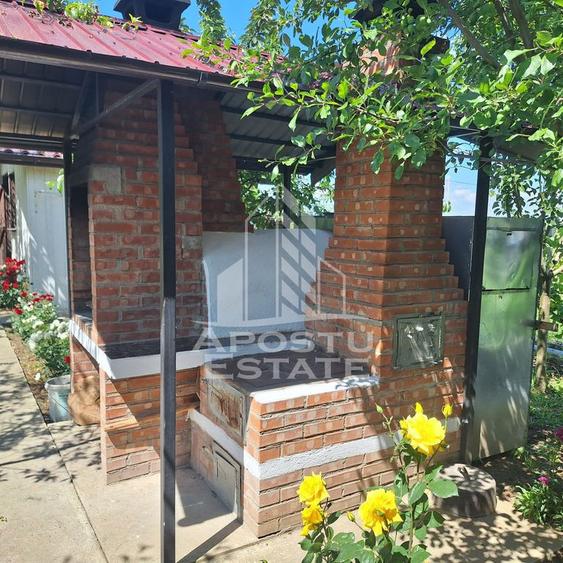 Casa individuala in Ianova,Comuna Remetea Mare - 13