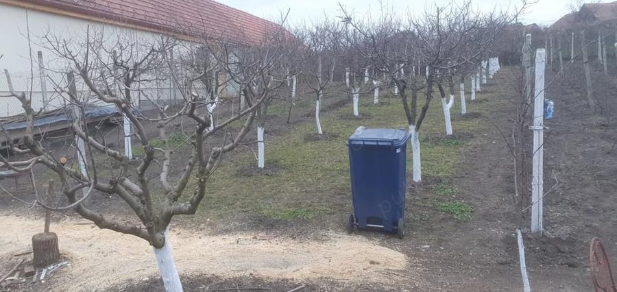 Teren de 966 mp, în Păuca