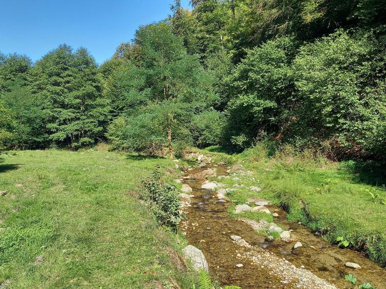 Teren de cabana pe Valea Recii( sat Strungari) - 6