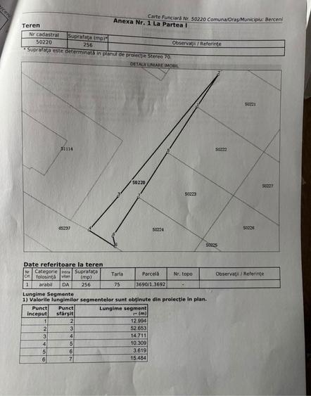 Teren central langa afterschool comuna Berceni - 3