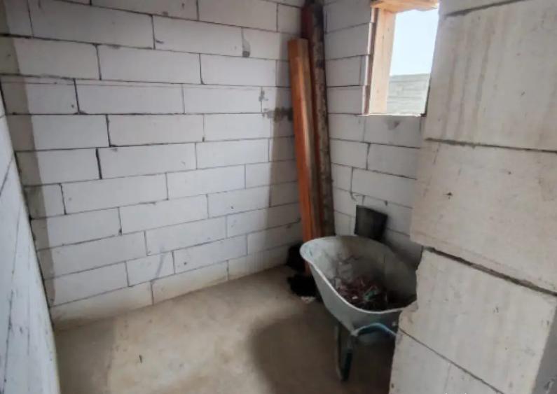 Casa Malu Mare - Capsunarie - Damila - 10