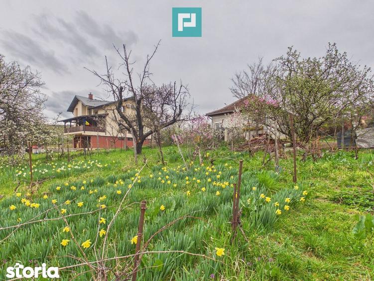 Ieftin - Casa cu teren 842mp, zona Dealuri, Oradea - 9