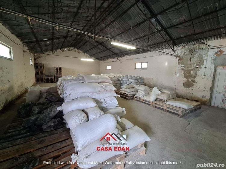 Hala in Campina--280 mp--800e - 8