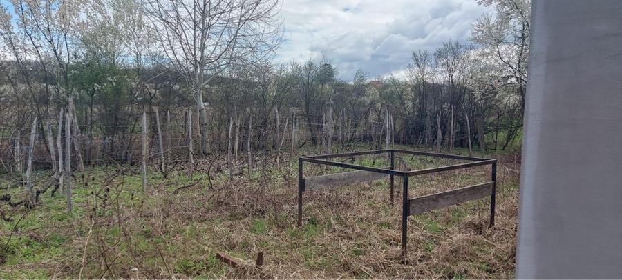 Casa + Hala de vanzare - 1