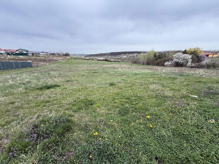 Ofer spre vanzare fundatie pentru Casa + Teren 58 Arii in Viile SM - 8