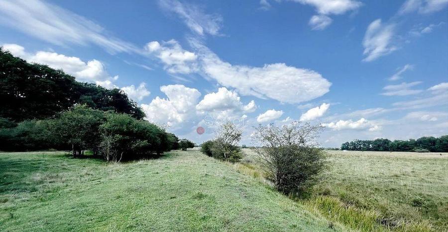 Teren Extravilan - 3