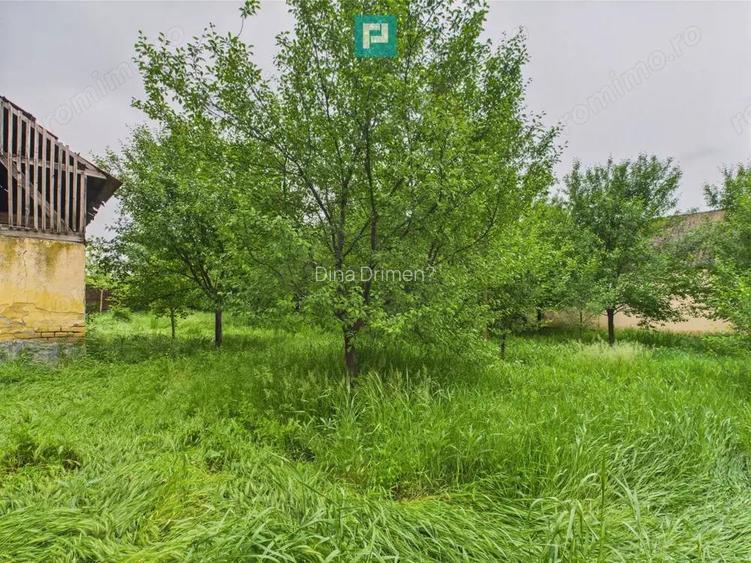 Casa de reabilitat pe teren generos- Comuna Varia?