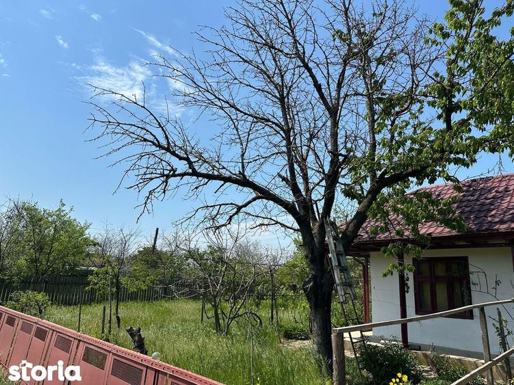 Casa de vanzare - 15