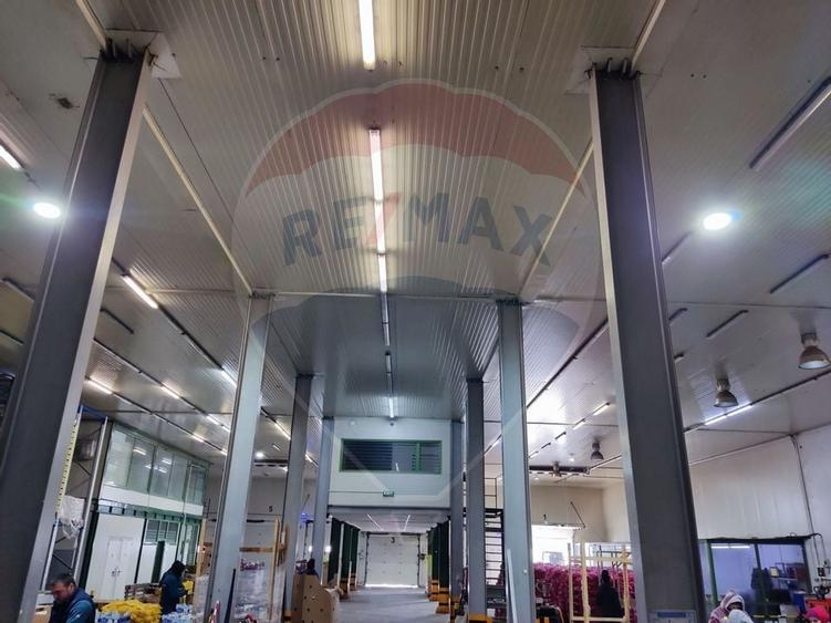 Depozit frigorific  hala ideal legume, fructe, flori - 15