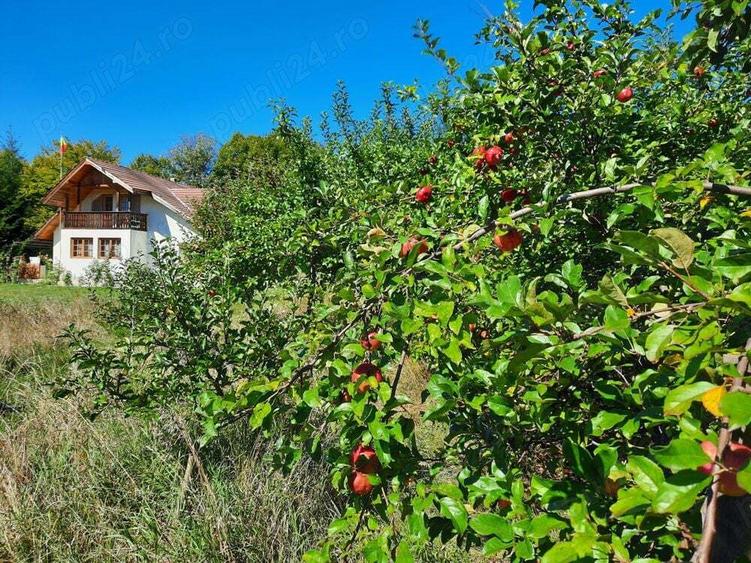 Casa de vacan?a cabana de vanatoare la Soveja, jud. Vrancea - 9