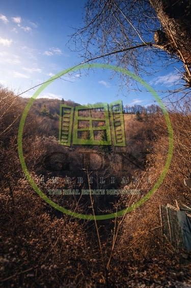 Pădure de vânzare în Scheii Brașovului 2 hectare de natură Brașov Schei - 4