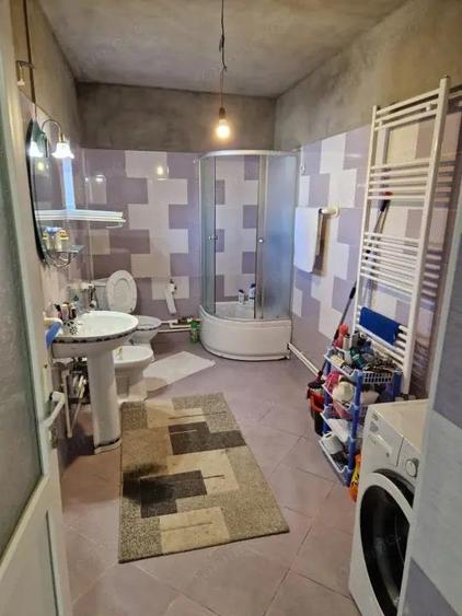 Casa de vanzare P+M, 184 mp Castranova, Dolj - 6