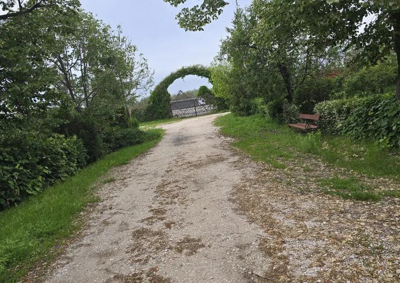 Proprietate Beharca teren 38464mp - 6