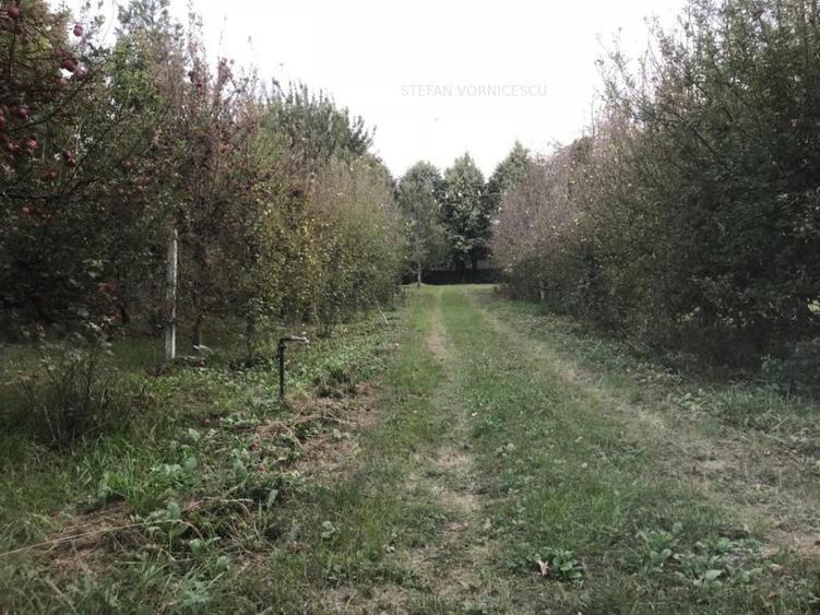 Teren la Strada EUROPEANA , CU TOATE UTILITATILE parcele de case - 7