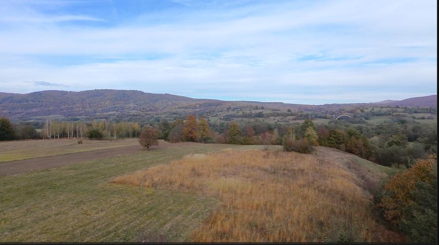 Comision 0%, teren extravilan 12497 mp Sinca Noua - 31