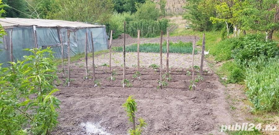 casa in Orevita Mare - 3