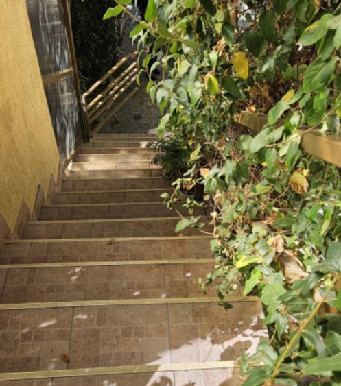 Casa curte- Metrou Pieptanari - 10