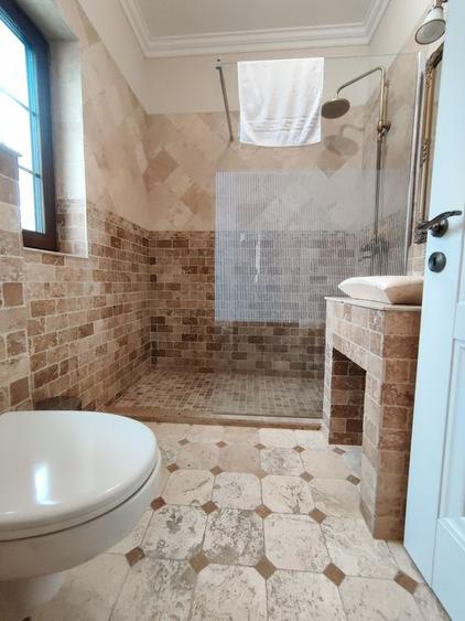 CASA  DEOSEBITA LA  SACALAZ IN SUPRAFATA DE 153 MP - 15