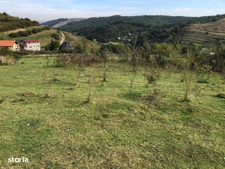 Teren Intravilan cuprins in PUG, 5100 mp, Tauti - 2