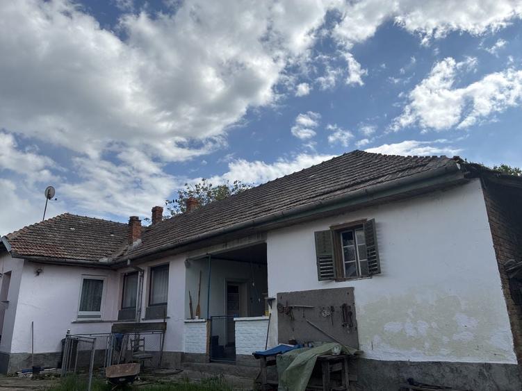 Casa de vanzare , Petroasa Mare , la 15 minute de orasul Lugoj - 5