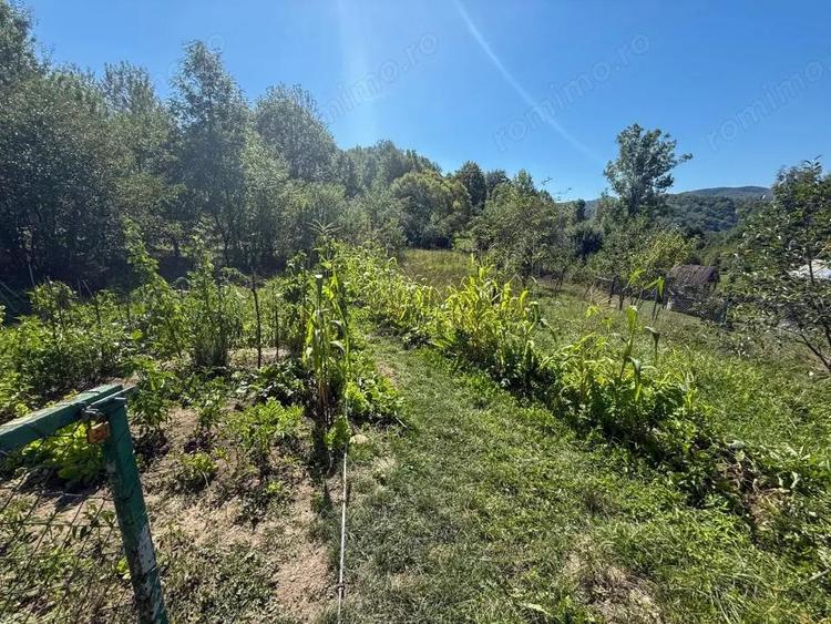 Casa de vacanta sau rezidenta in Adunati, buget redus - 3