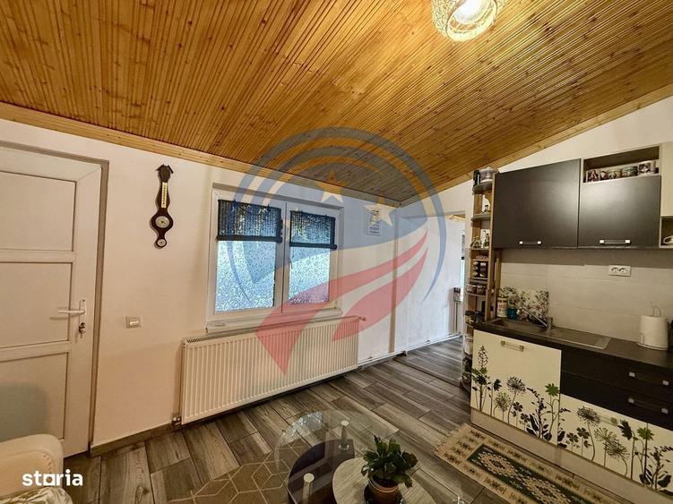 Casa cu teren generos/de vanzare/com Leu, Dolj - 9