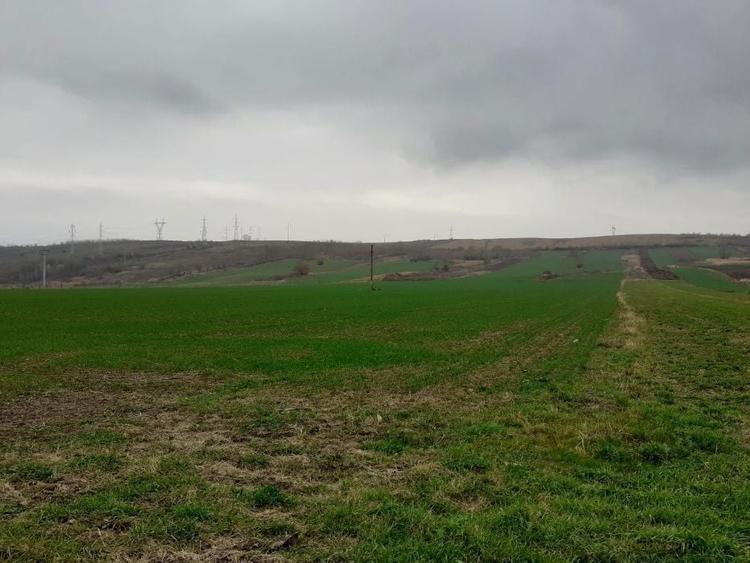Teren agricol extravilan Onesti, jud. Bacau - 6