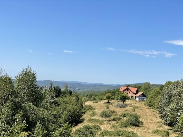 Teren Extravilan &icirc;n mijlocul naturii. - 7