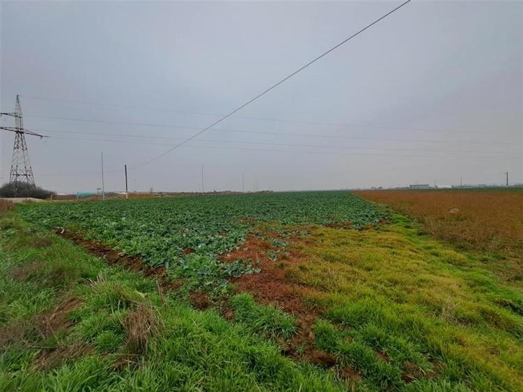 RECO teren intrare Chiribis - 4