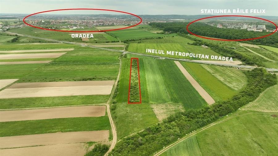 RECO Teren intravilan in Cordau zona- inelul Metropolitan - 1