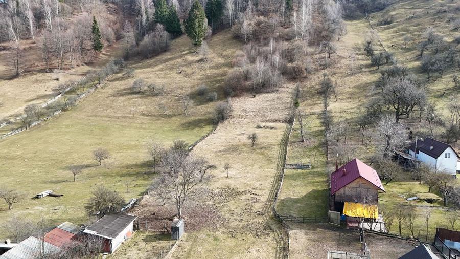 Teren de poveste pe coama muntelui – Vedere panoramică Piatra Craiului - 4