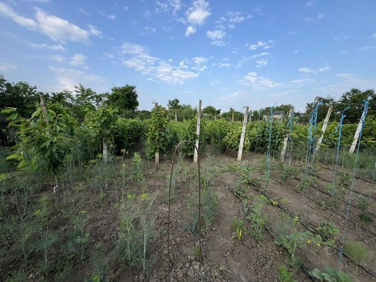 Casa Lacu Sarat Braila - 2