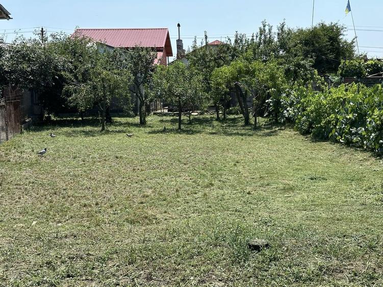 Vand casa Tatarani Prahova - 8