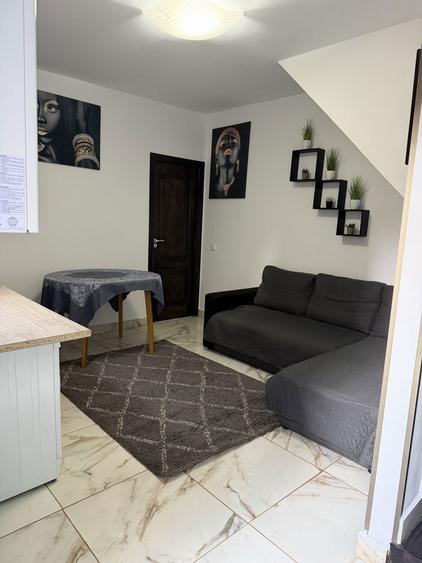 Inchiriez casa la curte - 2