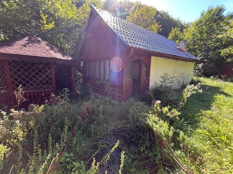 Cabana de vanzare, Valea Manastirii - Ramet - 6