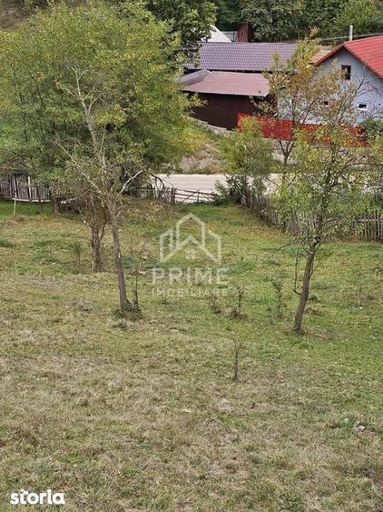 Teren intravilan, 5030 mp, Com. Metes, Sat. Tauti, Jud. Alba - 3
