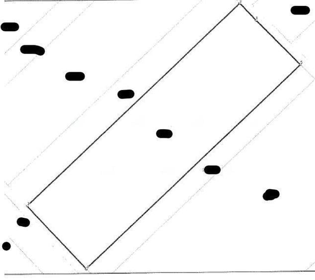 Teren extravilan Scurtu Mare, ID: R2928611 - 3