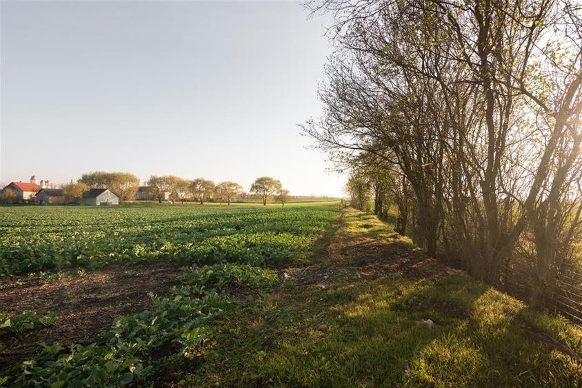 RECO casa Inand la rosu cu teren imens - 28