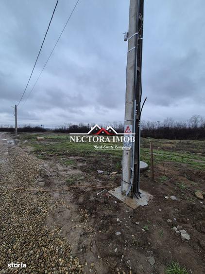 NECTORA IMOB-Teren Intravilan 501 mp, cu front 19ml, Nojorid,Utilitati - 3