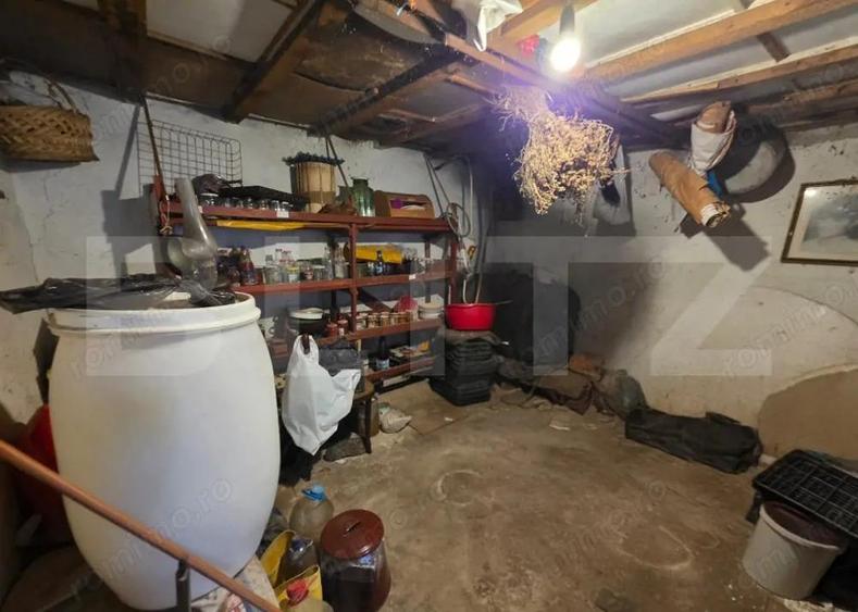 Casa cu teren generos ?i balta de pescuit Gae?ti - 11