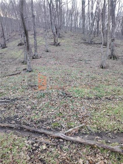 Teren intravilan zona Monteoru - 2