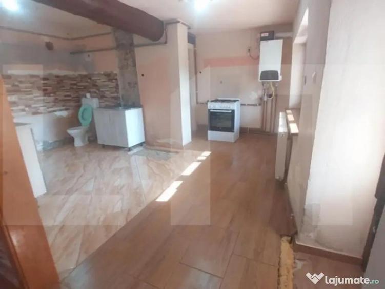 Blitz va ofera spre vanzare casa in Vladimirescu - 1