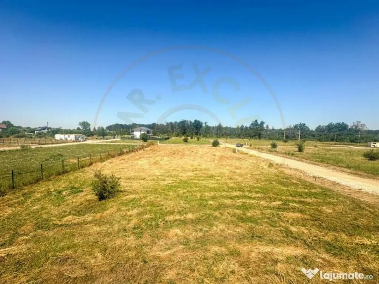 Teren 1116 mp gulia Eden Forest - 4