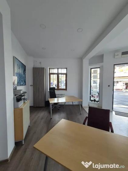 Proprietar,sp.comercial,cabinet,salon,agentie,Tineretului-Parcul Carol - 3