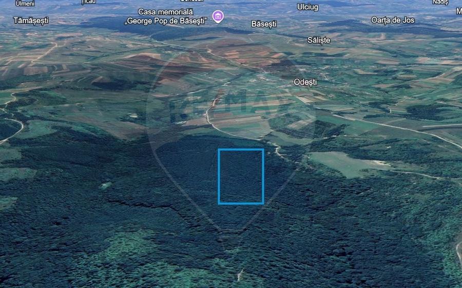 Pădure de vanzare cu zona de cabană Odesti - 5