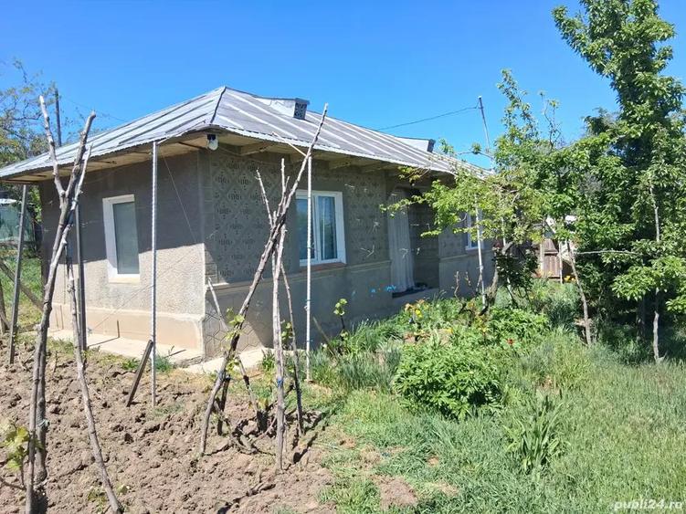 Vand schimb casa tamaoani - 4