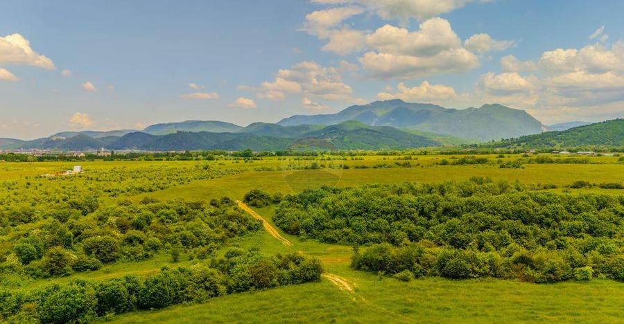 Teren 10,800mp Rasnov / Drumul DN73 - 33